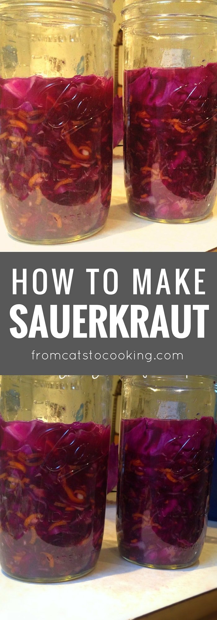 How to Make Sauerkraut - an easy recipe for this tasty condiment and side dish that's full of healthy probiotics. Click through to get the recipe or save this pin for later.