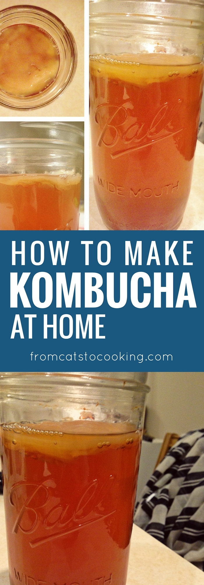 How to Make Kombucha - a tasty probiotic-rich drink that will totally kick your soda habit out the window. It's so good! Click through to learn how to make some for yourself or save this pin for later.