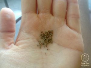 Tiny Carrot Seeds