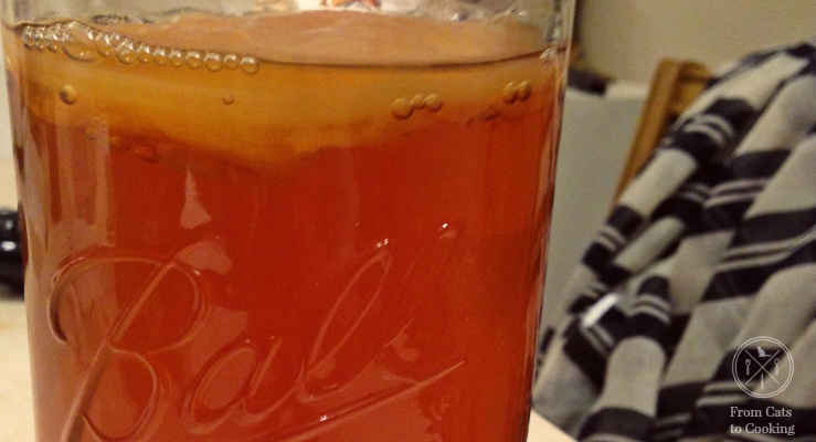 How to make Kombucha at home | fromcatstocooking.com