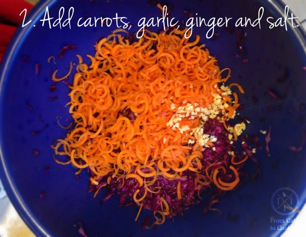 2. Add carrots, garlic, ginger and salt.