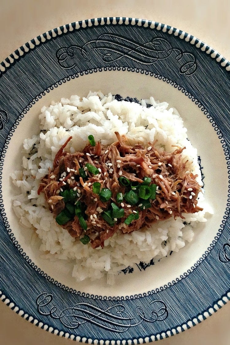 Asian Slow Cooker Pulled Pork Ribs Isabel Eats