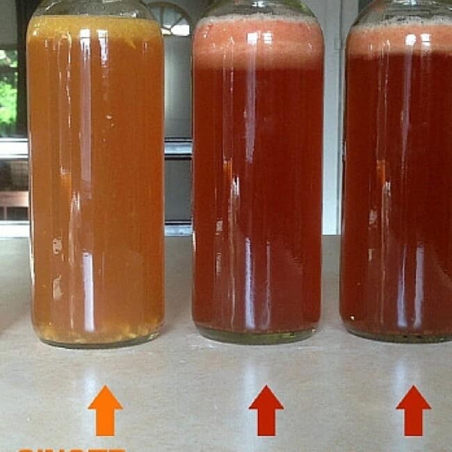 How to Flavor Homemade Kombucha with Fruit