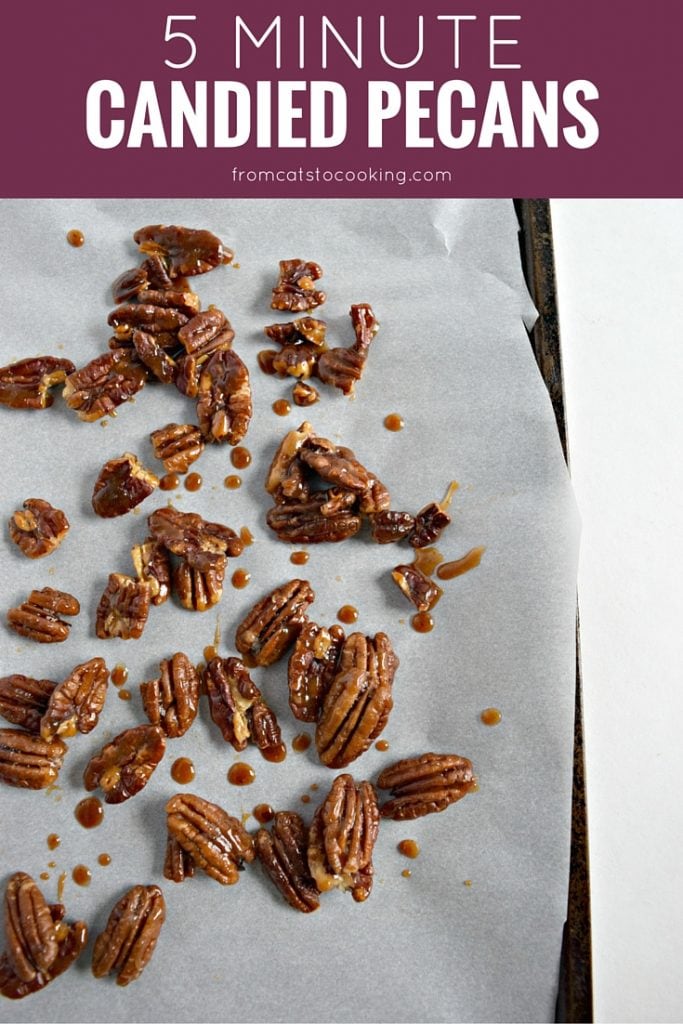 5 Minute Candied Pecans - Tasty, quick and easy candied pecans that can be eaten as a snack, used to top salads or even on dessert! // isabeleats.com