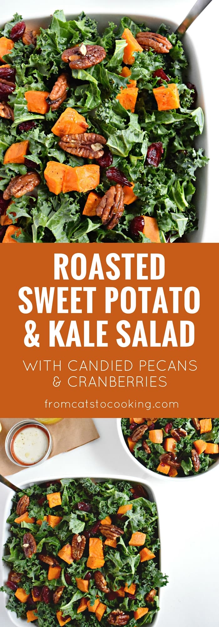 Topped with an easy homemade honey lemon vinaigrette, this roasted sweet potato and kale salad with candied pecans and cranberries is perfect for the holiday season. - isabeleats.com