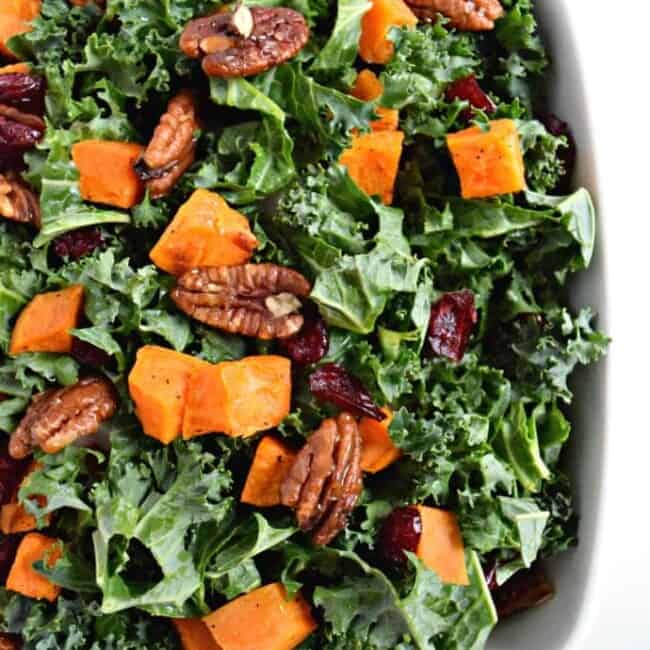 Roasted Sweet Potato & Kale Salad with Candied Pecans & Cranberries | fromcatstocooking.com