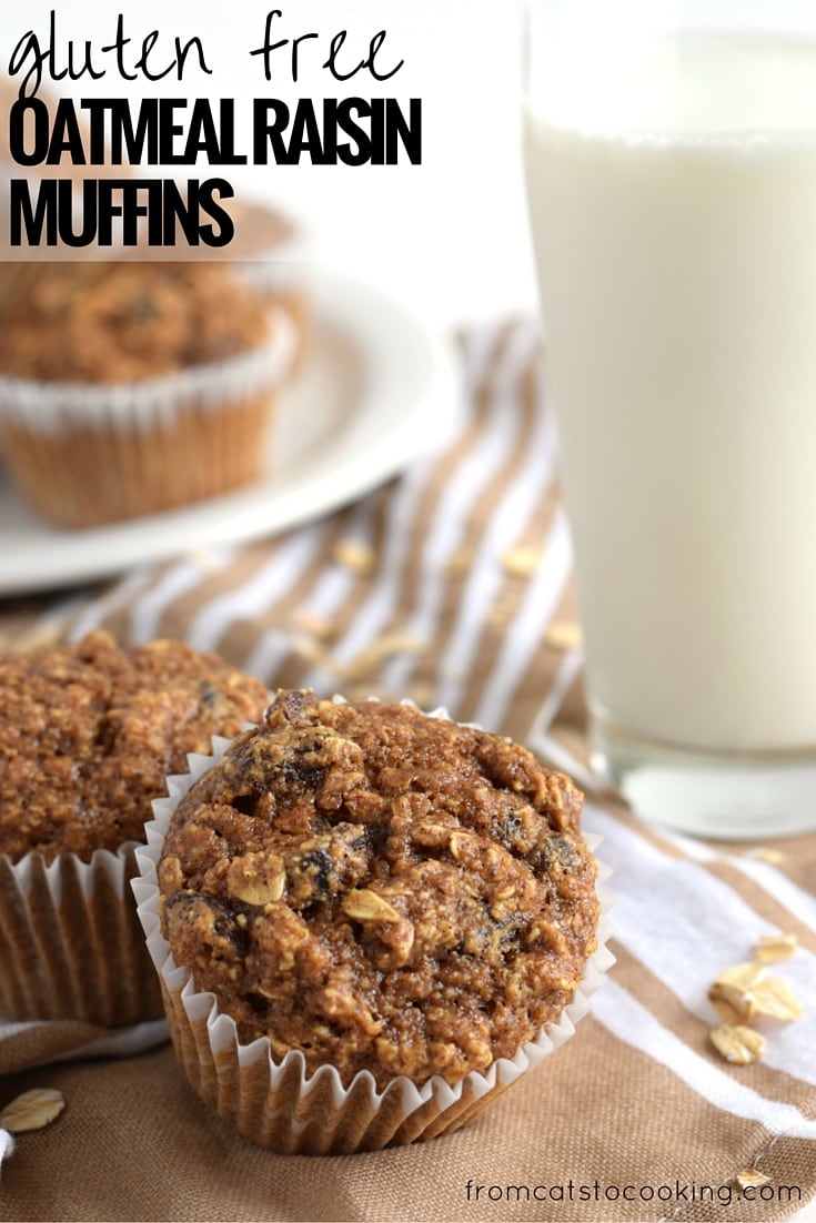 Made with rolled oats, raisins, unsweetened applesauce and almond butter, these Gluten Free Oatmeal Raisin Muffins are ready in only 30 minutes and are the perfect after-dinner dessert or brunch pastry. // isabeleats.com