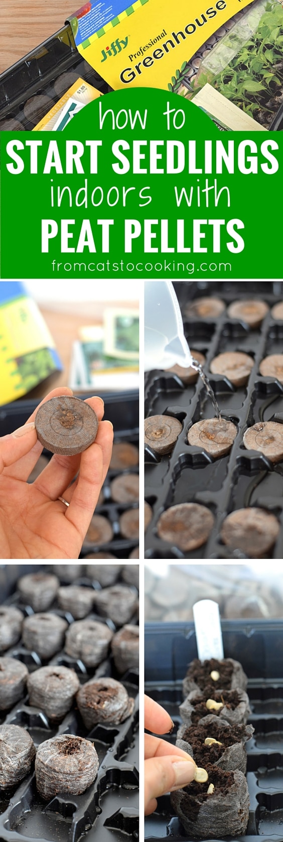 How to easily start seedlings indoors with peat pellets. This is a great way for beginner vegetable gardeners to start their seeds indoors for a great start to the gardening season! // isabeleats.com