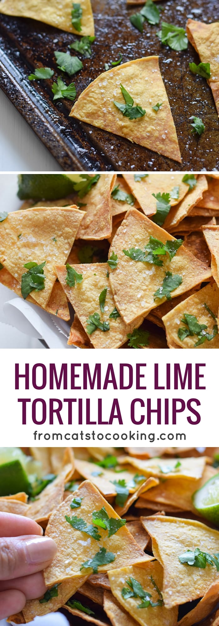 These Homemade Lime Tortilla Chips are crunchy, salty, easy to make and are baked with a hint of lime for a nice little zesty kick. They've taken my chips and salsa game to a whole new level! Perfect on their own as a snack or with some guac or salsa as an appetizer.