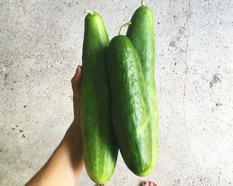 Cucumbers // Tuesday Things
