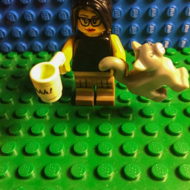 Tuesday Things - Lego Isabel