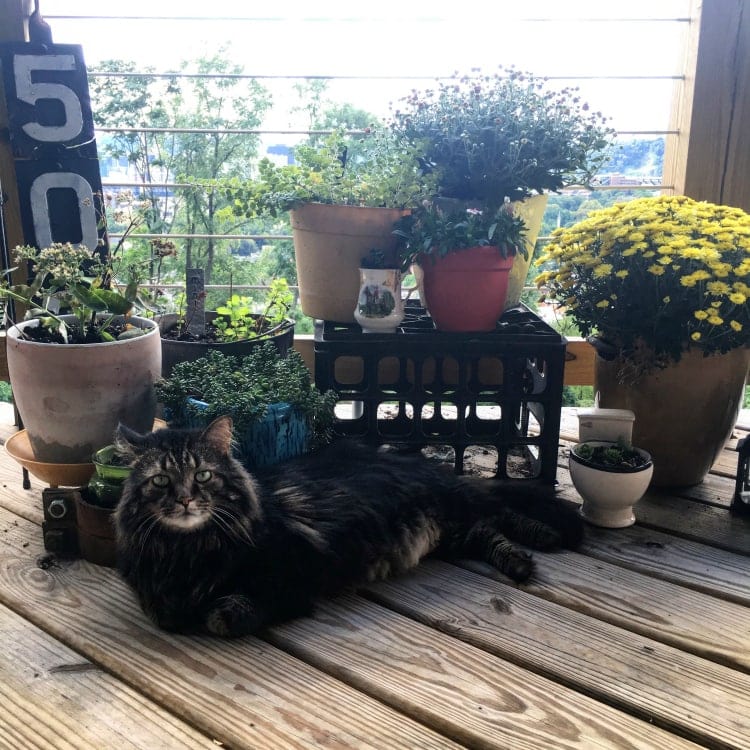 Tuesday Things - Yoga