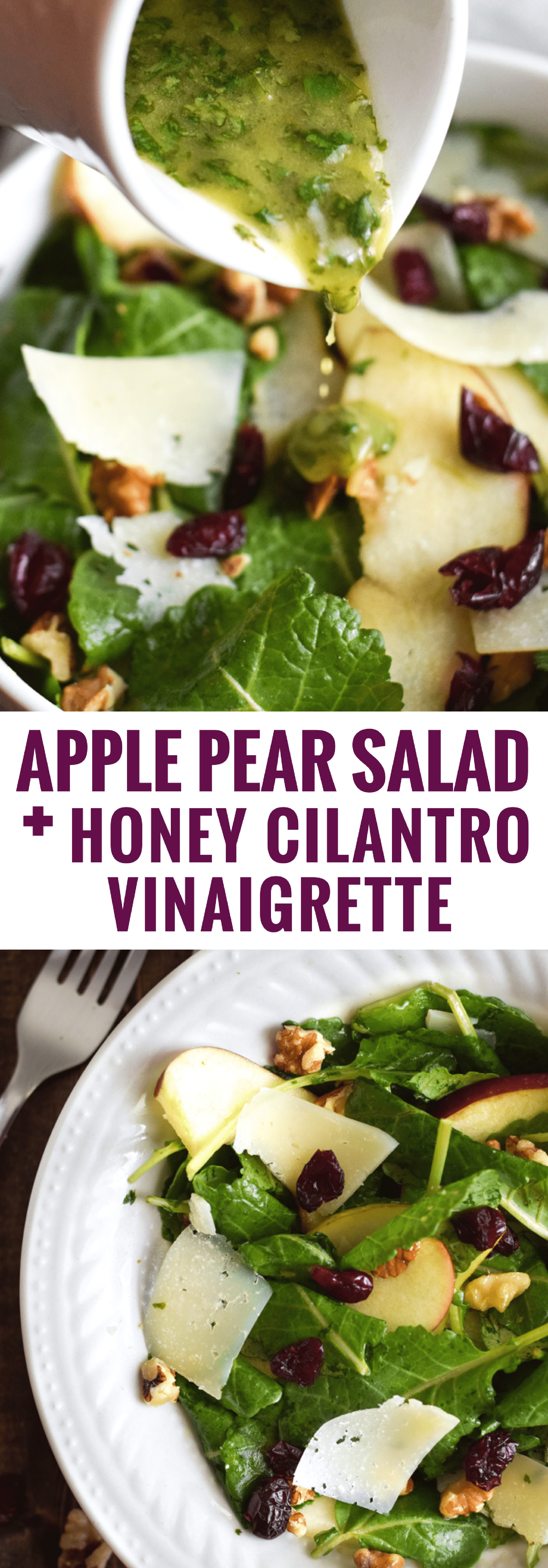 Apple Pear Salad with Honey Cilantro Vinaigrette Isabel Eats