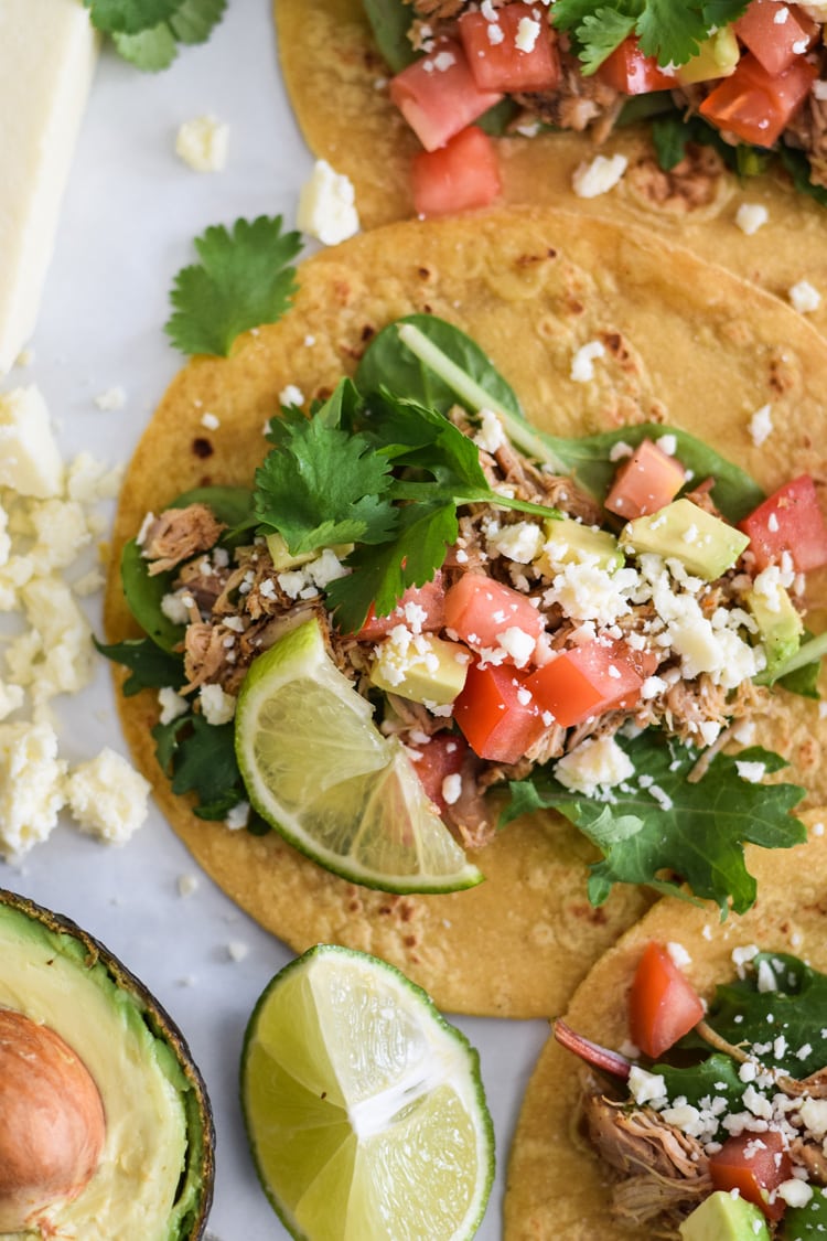 A chicken carnitas taco topped with tomatoes, avocado and cilantro.