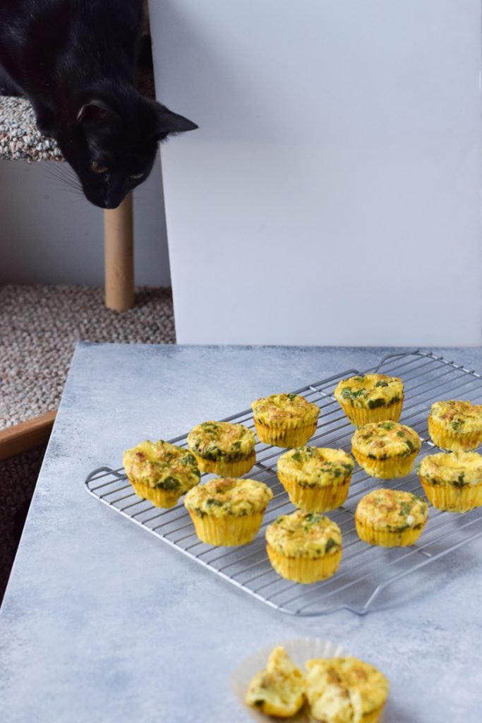 Chicken and Green Chile Egg Muffins Isabel Eats