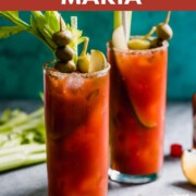 Bloody Maria cocktail recipe