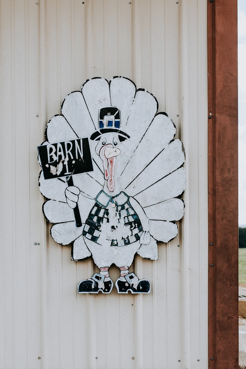 Honeysuckle White and Shady Brook Farms 2018 Farm Tour - Turkey Barn, Iberia, MO