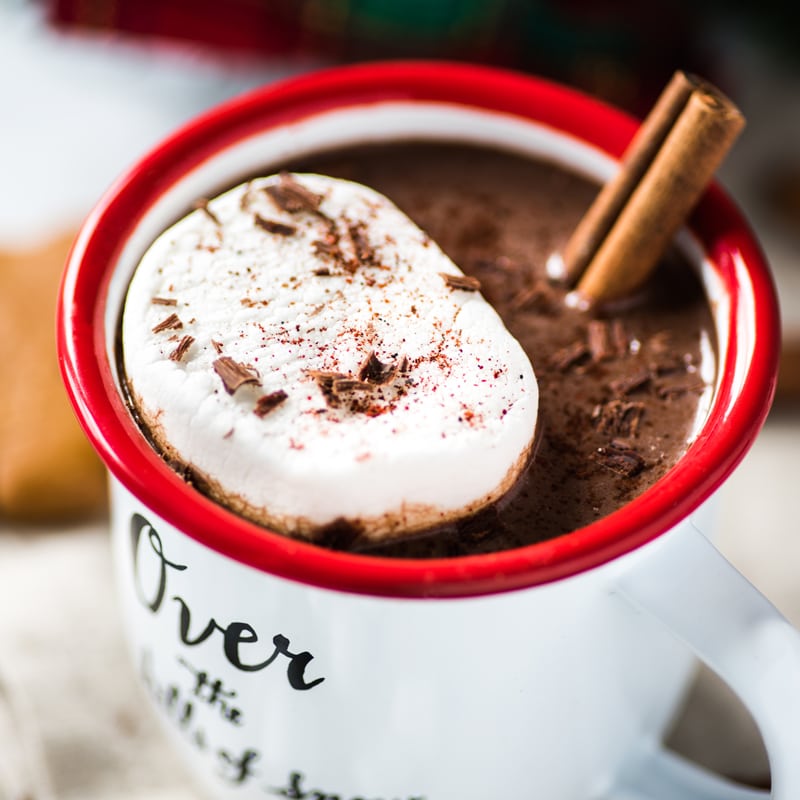 Mexican Hot Chocolate garnished with a large marshmallow, chocolate shavings, and cinnamon sticks.