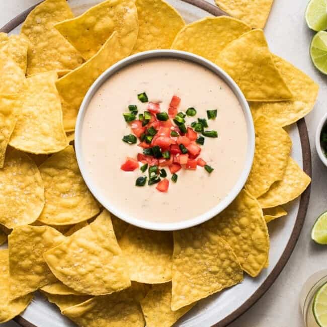 Bowl of queso dip surrounded by tortilla chips.