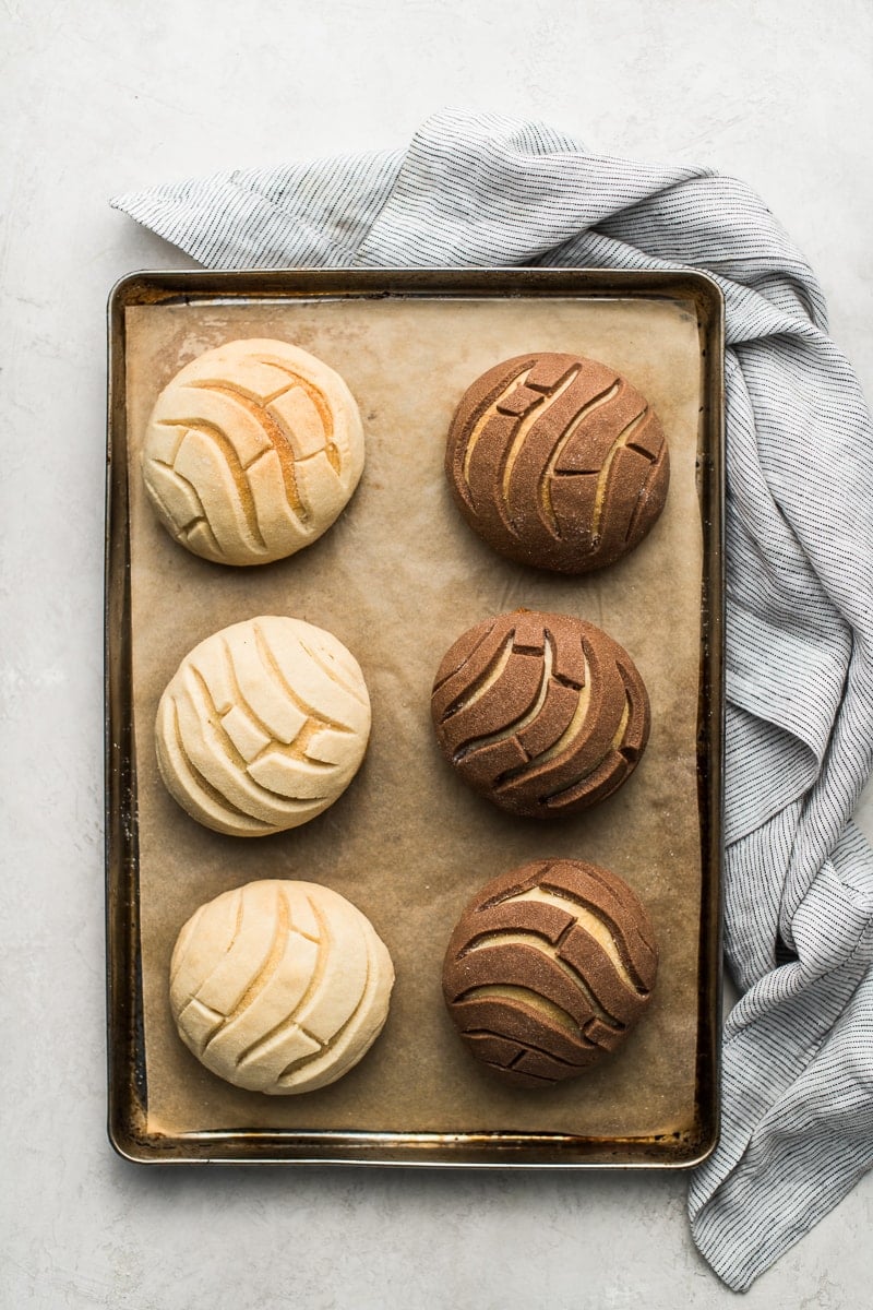 Conchas (Mexican Sweet Bread) - Isabel Eats