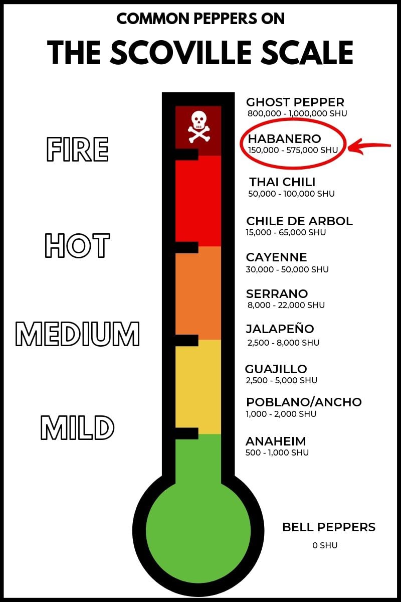 The habanero pepper on the scoville scale.