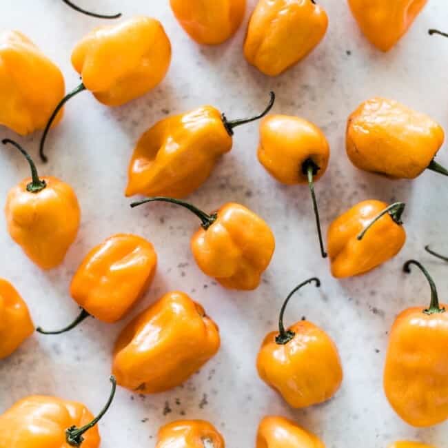Habanero pepper on a table.