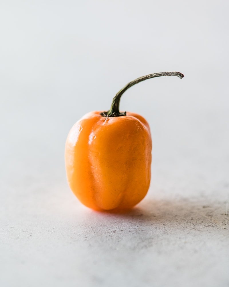 One orange habanero pepper sitting on a table.