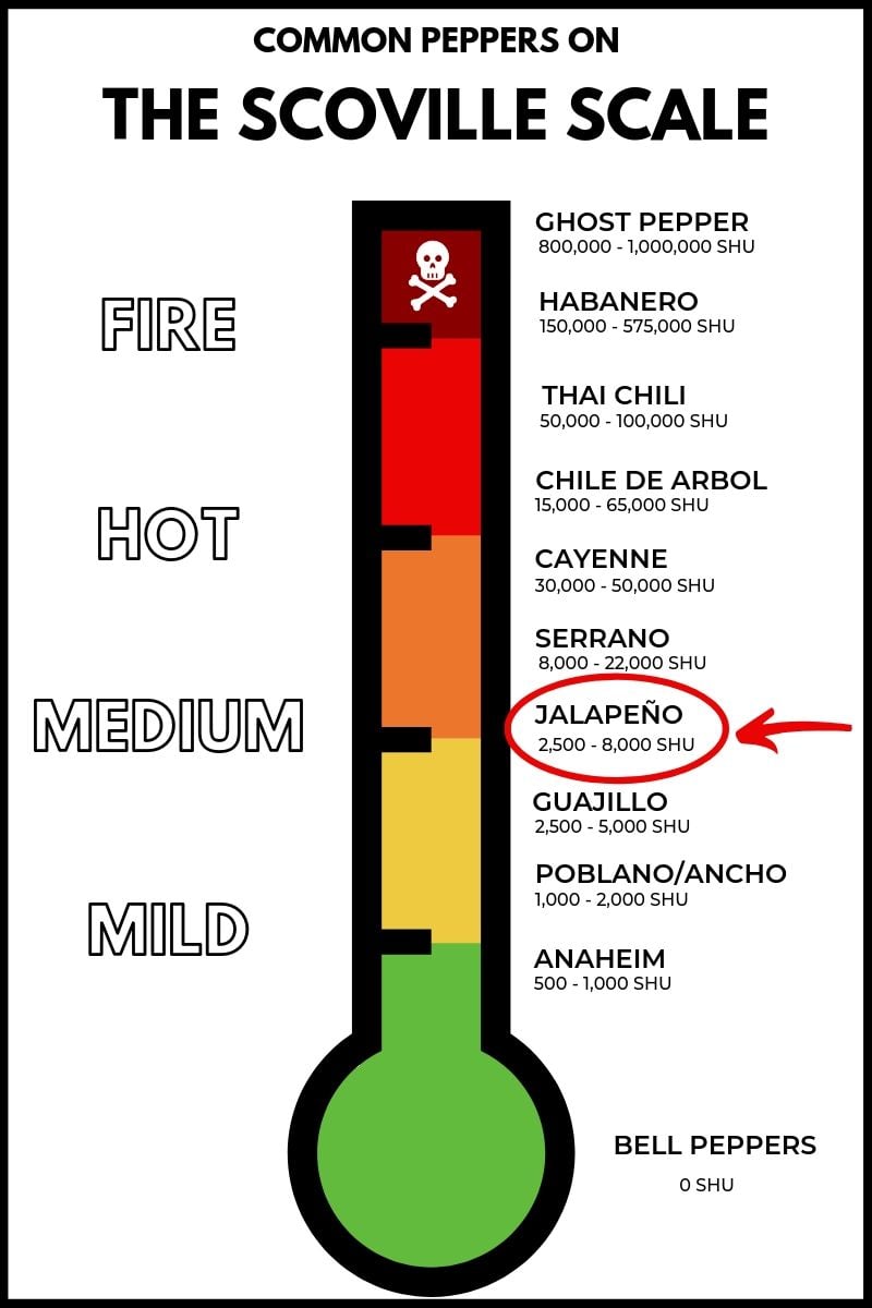 Where the jalapeno pepper falls on the scoville scale