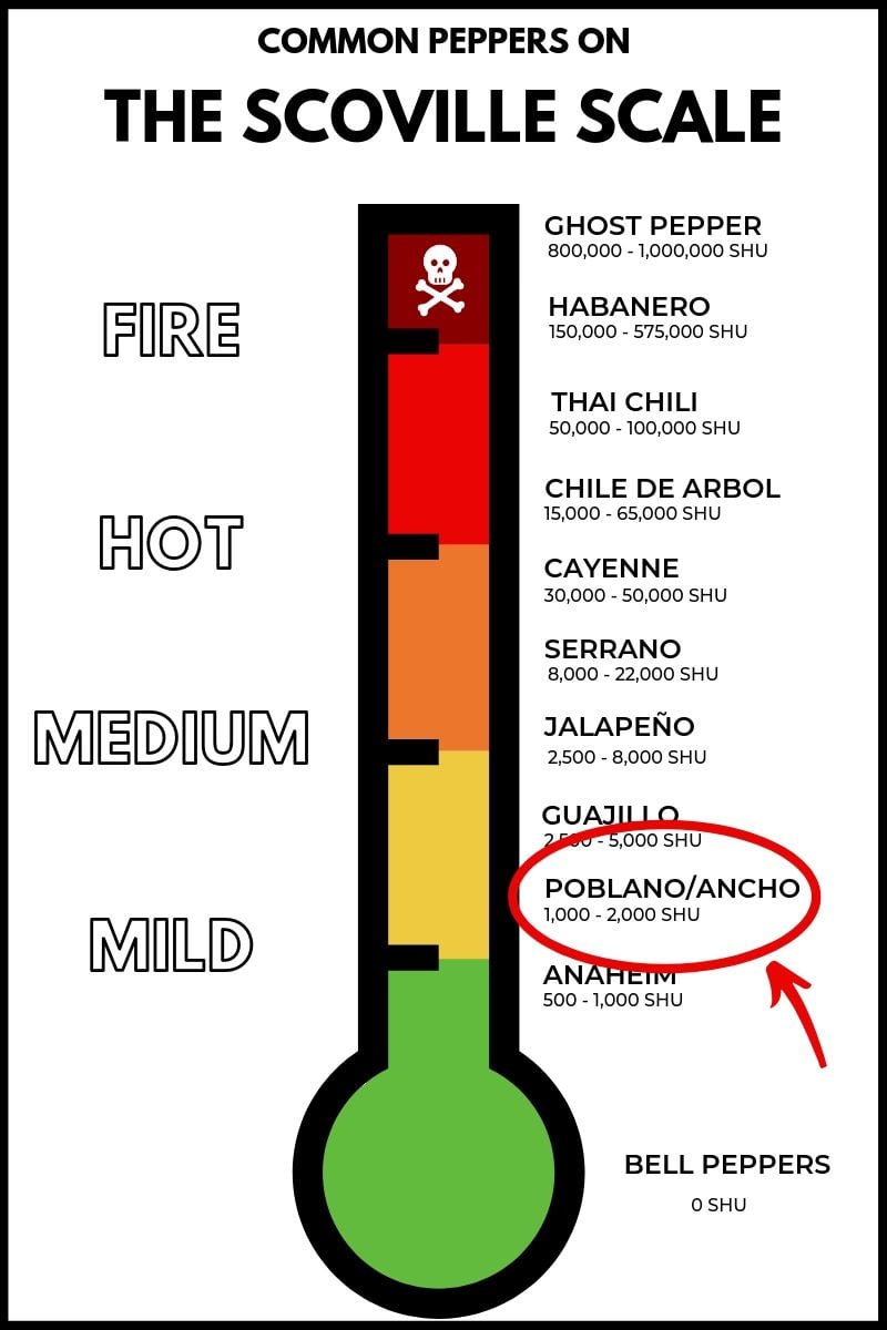 Poblano Pepper on the Scoville Scale