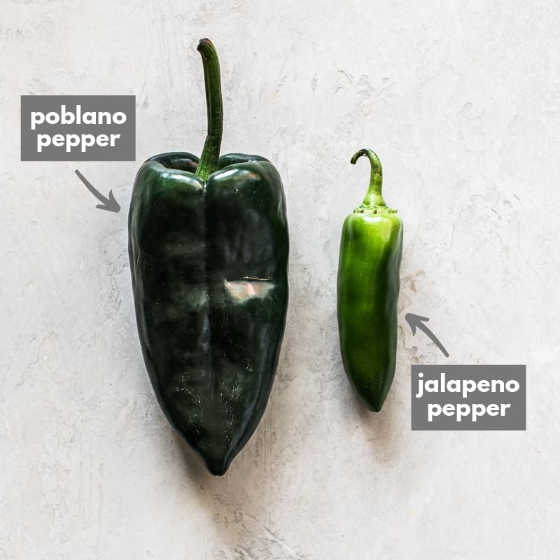 A poblano pepper next to a jalapeno pepper