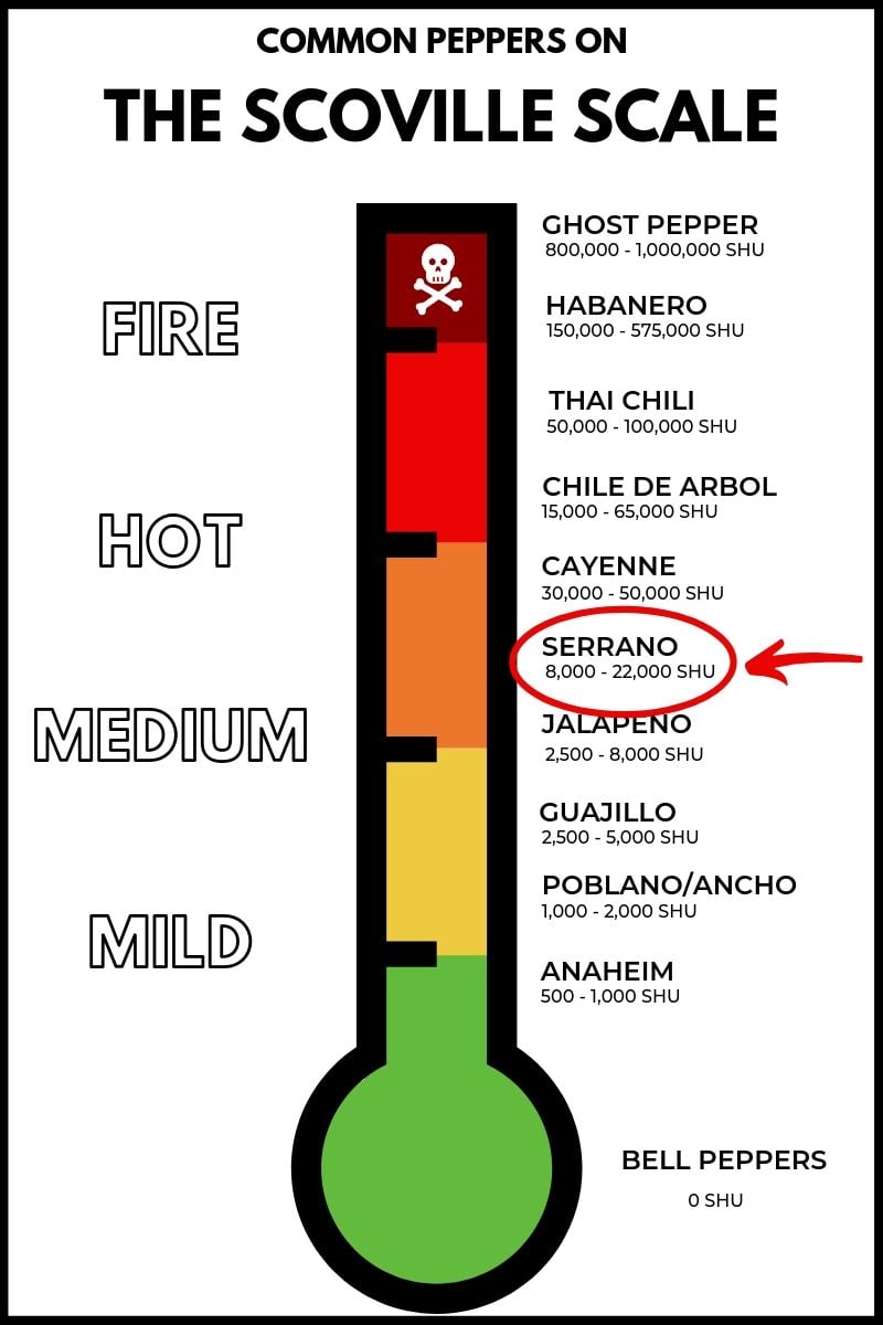 Serrano pepper on the scoville scale.