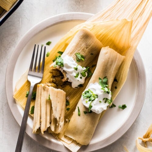 Hatch Green Chile Tamales Recipe Deporecipe.co