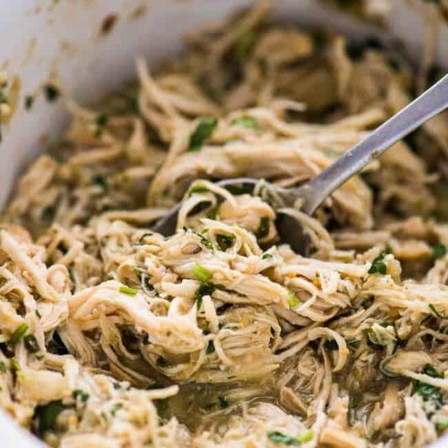 Salsa verde chicken topped with cilantro and shredded