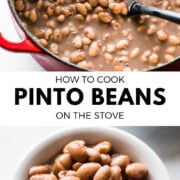 Image collage of pinto beans