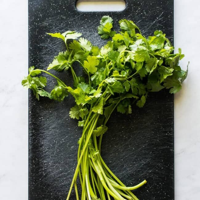 An entire bunch of cilantro on a cutting board.