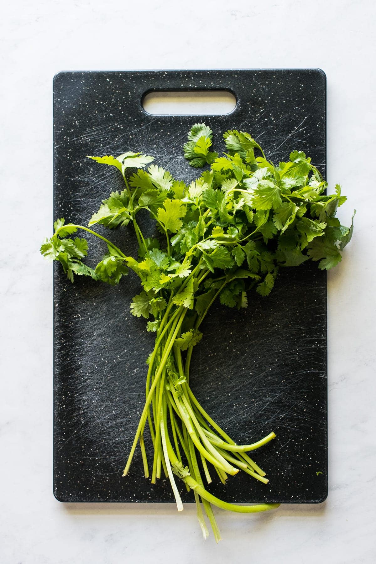 An entire bunch of cilantro on a cutting board.