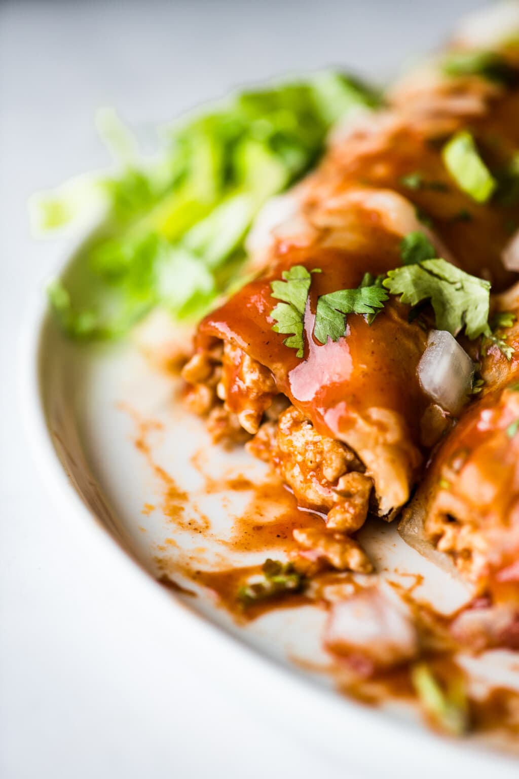 Turkey Enchiladas