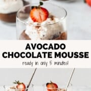 Avocado Chocolate Mousse