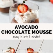 Avocado Chocolate Mousse