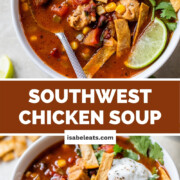 Southwest Chicken Soup