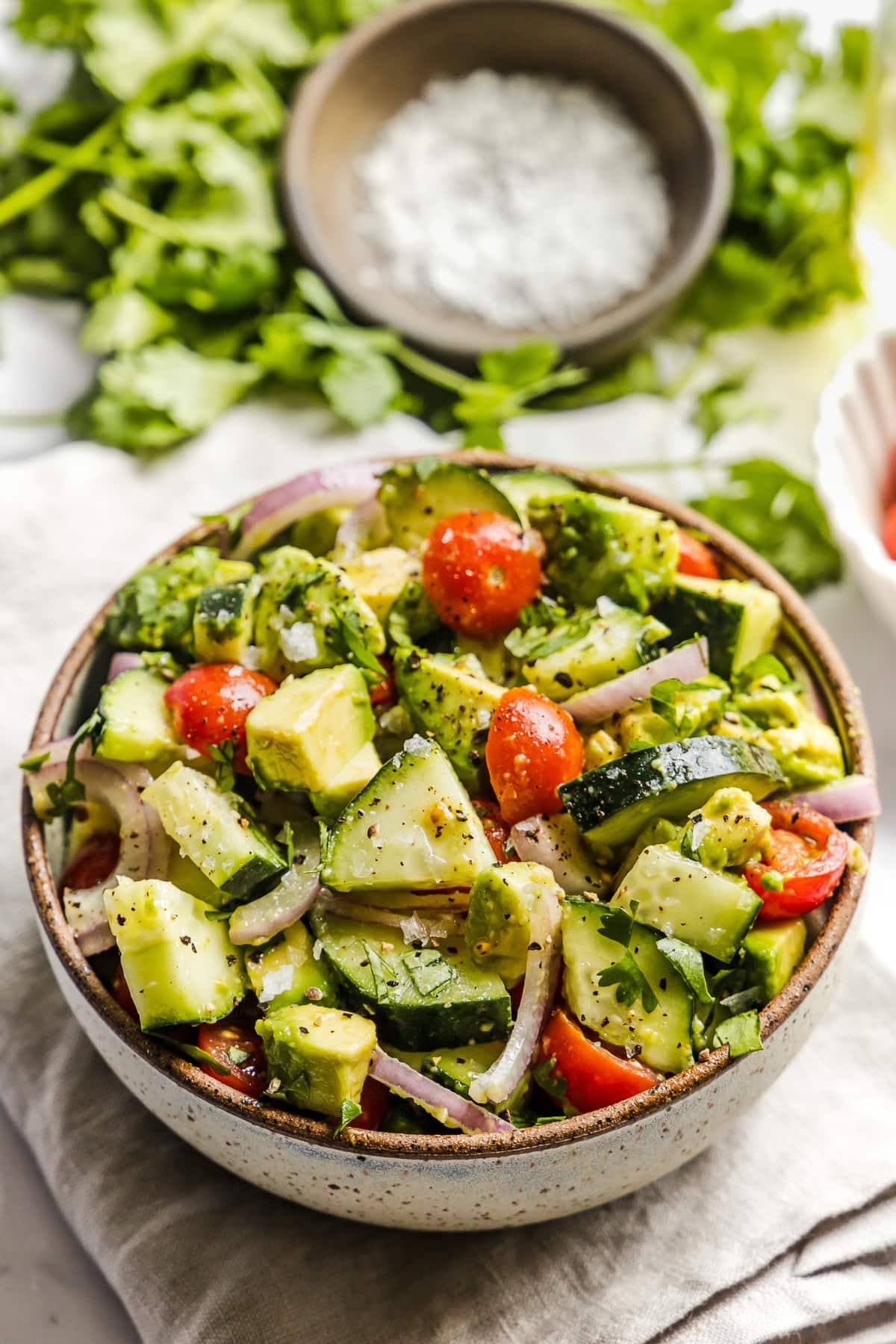 Avocado salad made from cucumbers, avocados, tomatoes, and red onions.