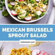 Mexican Brussels Sprout Salad