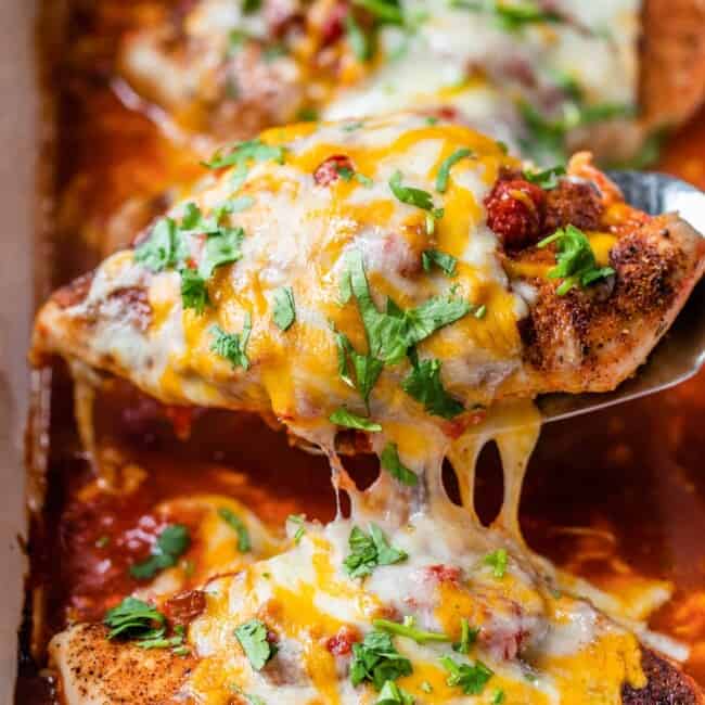Baked salsa chicken on a spatula being pulled out of a baking dish.