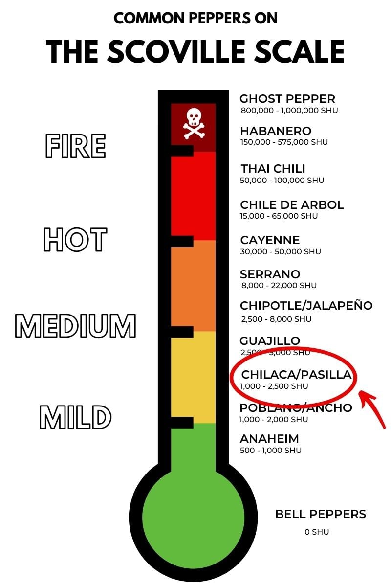 Pasilla pepper (chile pasilla) on the scoville scale