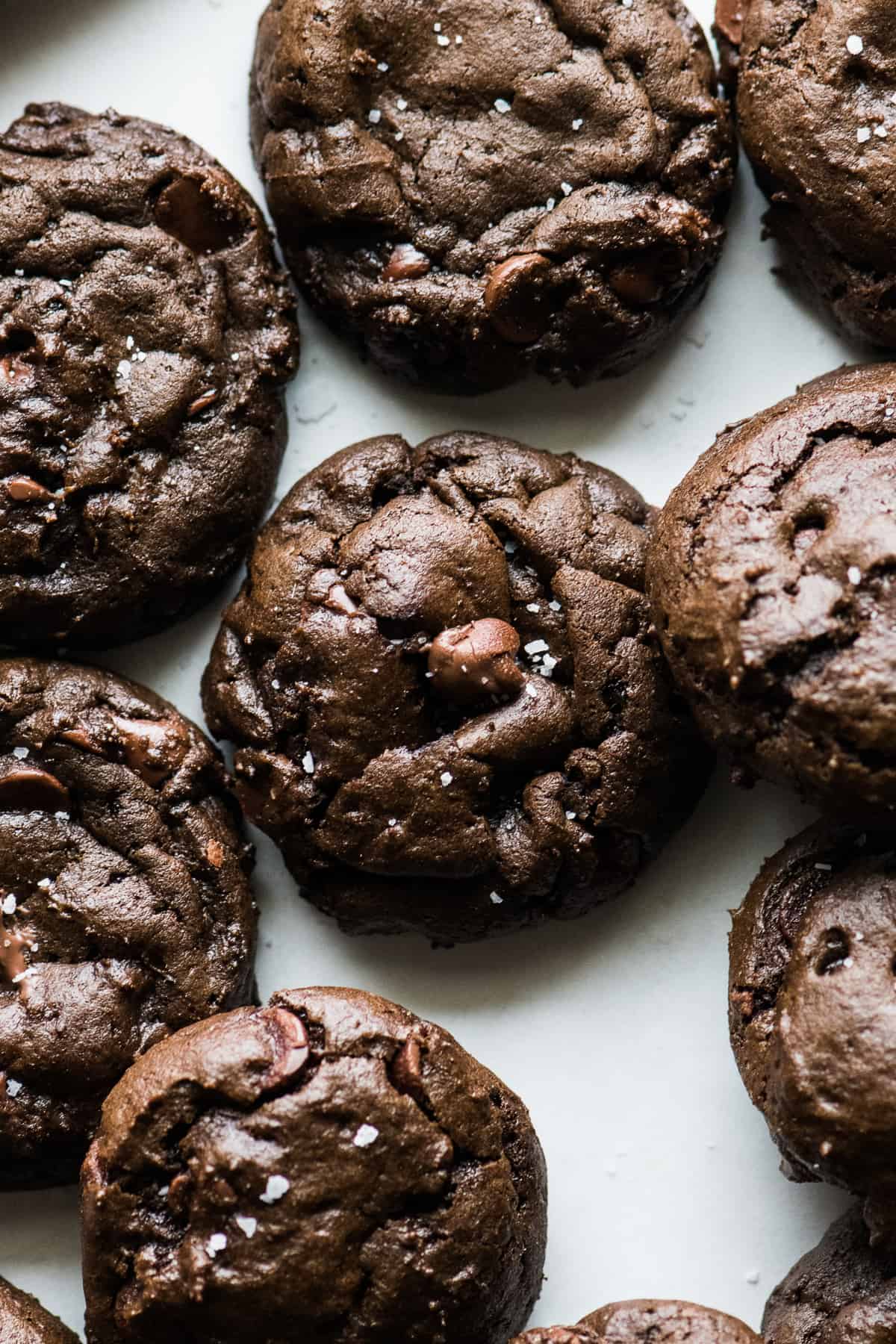 Mexican hot chocolate cookies made with chocolate chips.