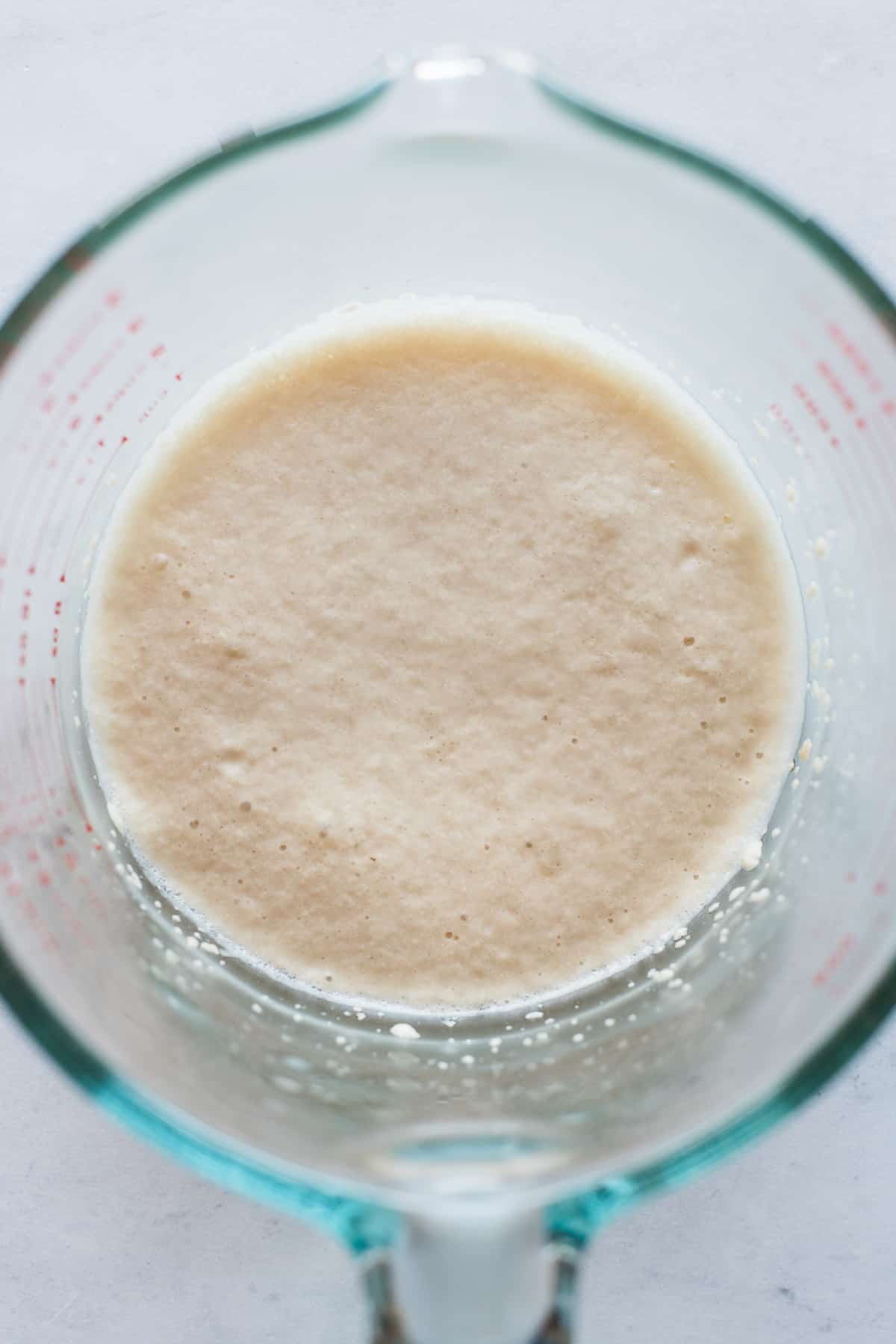 Yeast blooming in a cup for bolillo bread recipe.