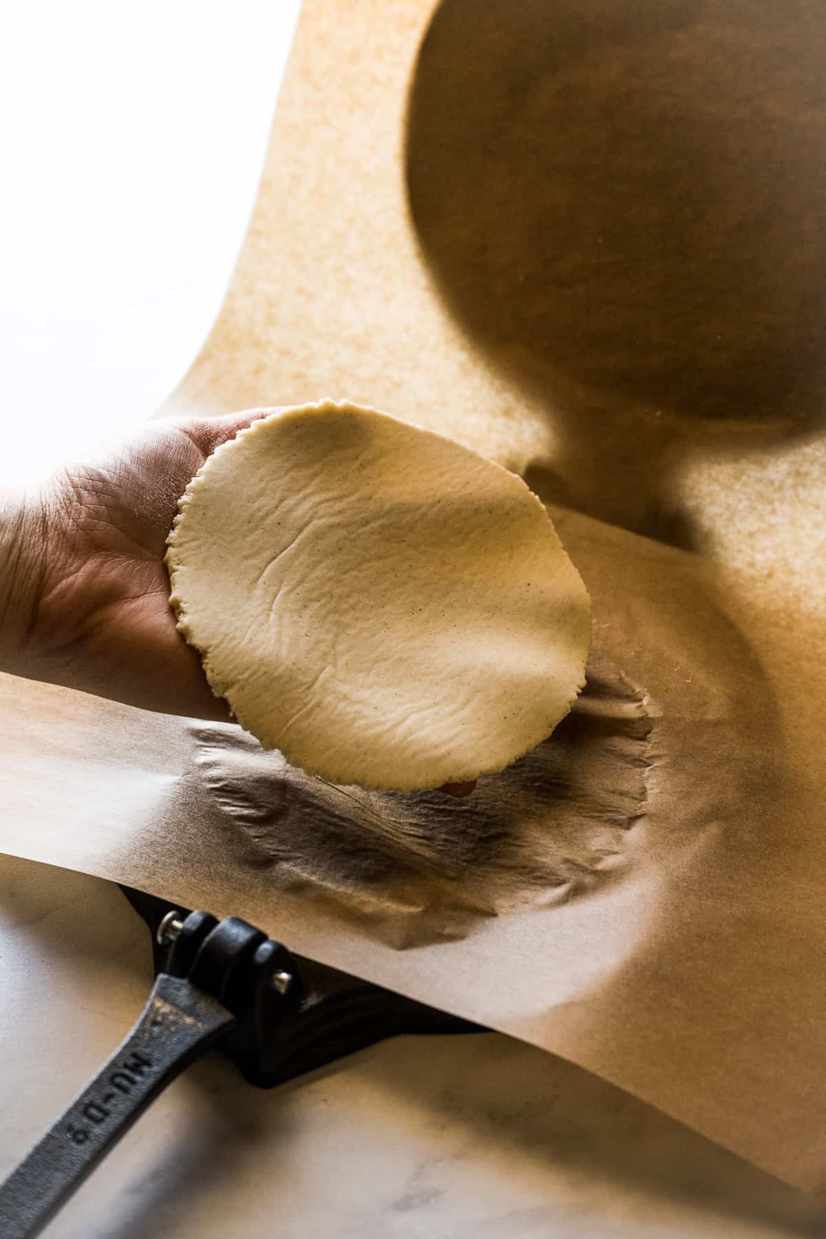 A hand holding a raw corn tortilla.