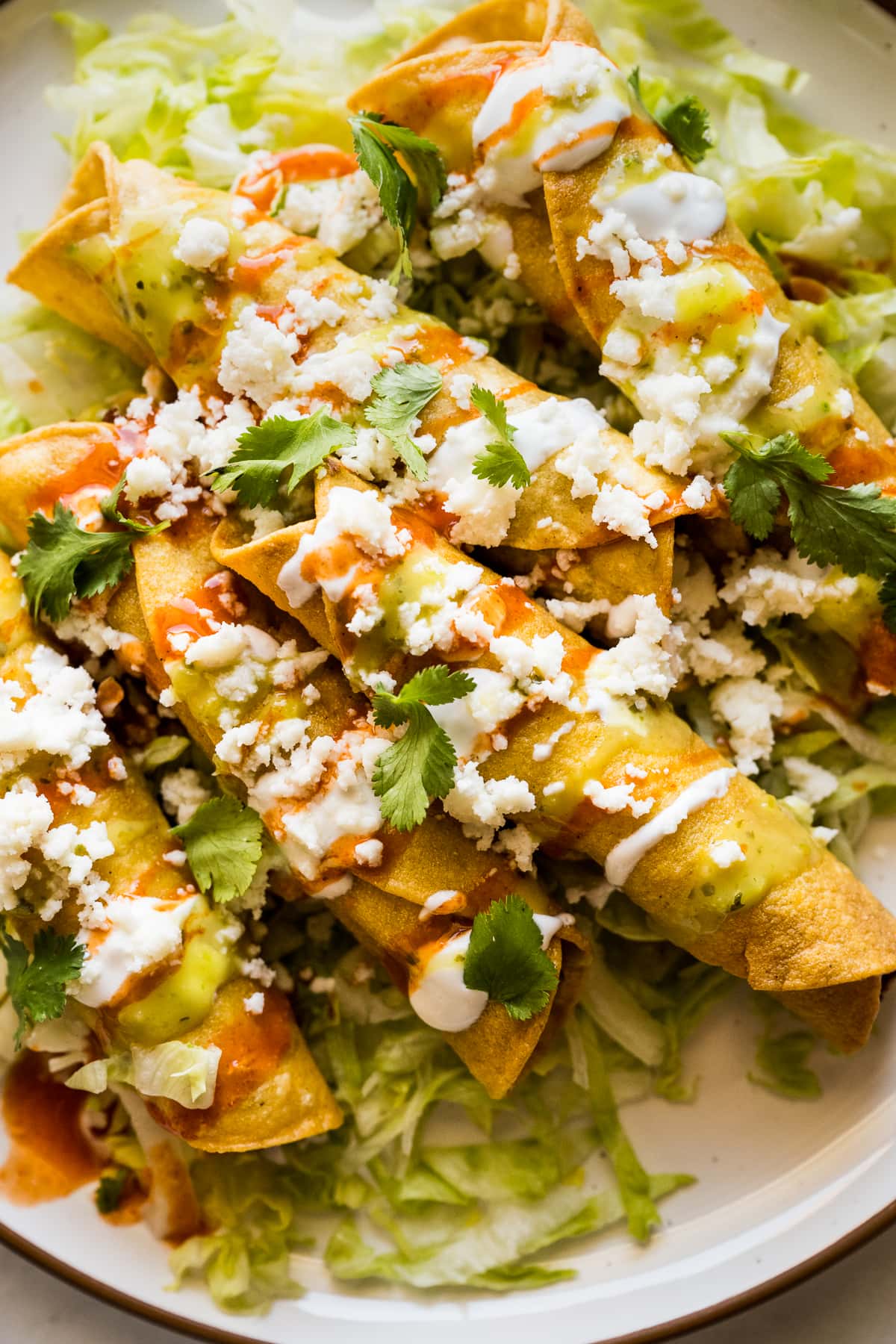 Flautas topped with salsa verde, salsa roja hot sauce, cheese, Mexican crema, and cilantro.