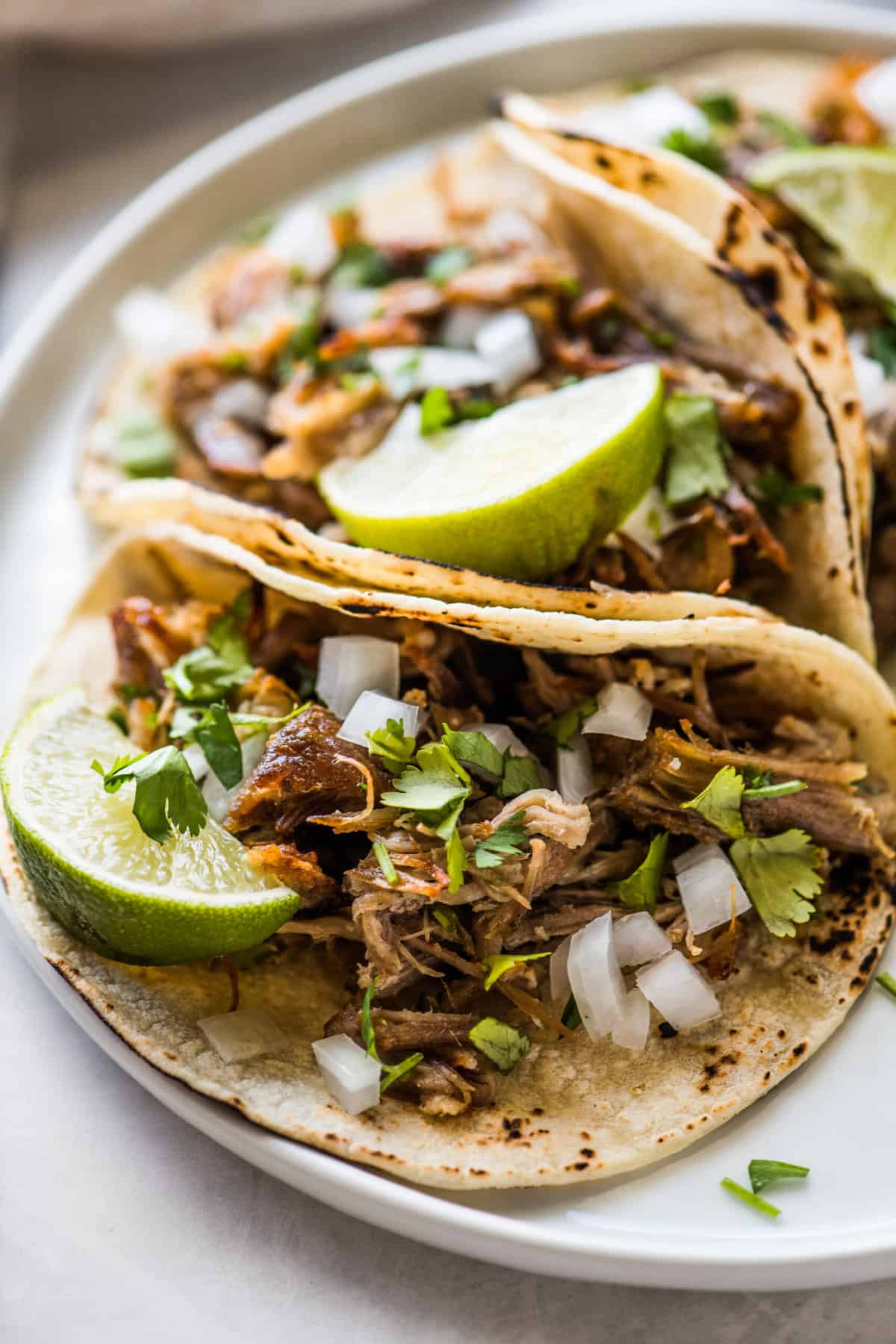 Carnitas (Mexican slow cooked pulled pork) in a corn tortilla topped with onion, cilantro, and lime.