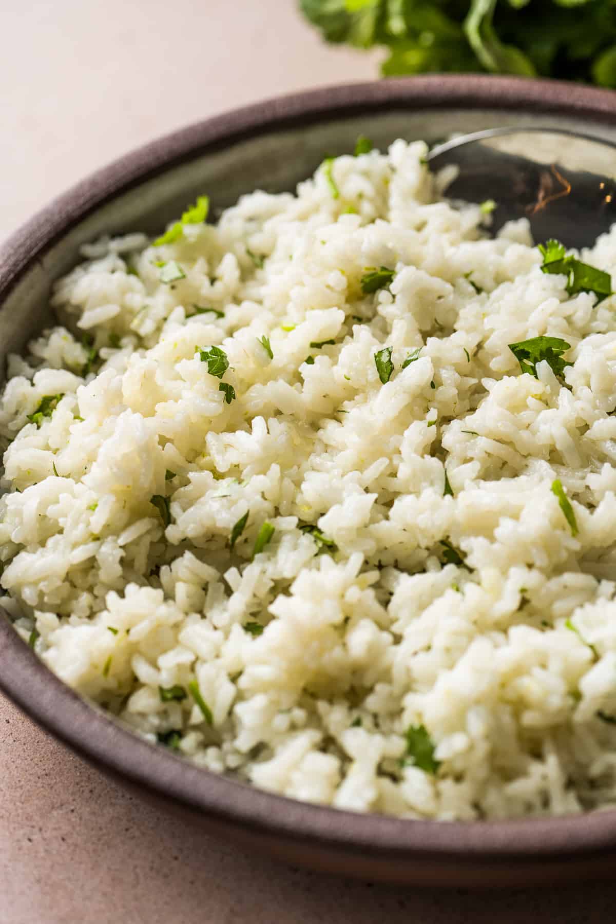 Cilantro lime rice served on a plate ready to eat 